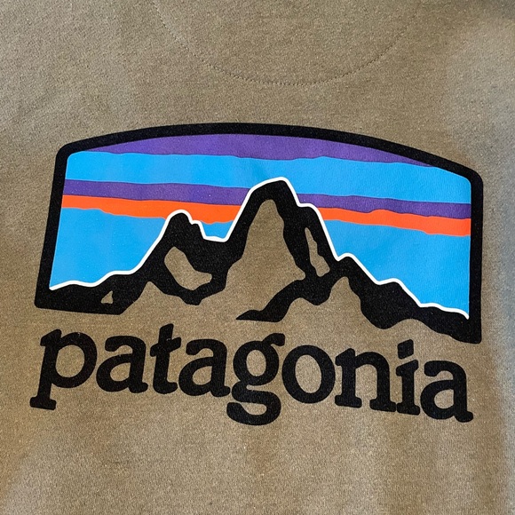 Men’s Patagonia Graphic Hoodie Size Small in EUC - Picture 3 of 7